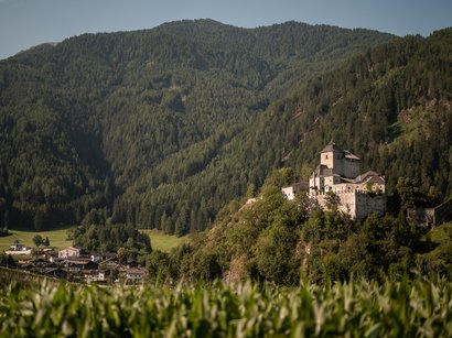 L‘Epifania Castello su collina boscosa con villaggio in valle sotto cielo azzurro