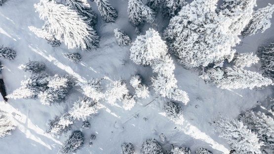 Winterwanderung zum Wuhnleger und zur St. Sebastian Kapelle Schneebedeckter Wald aus der Vogelperspektive bei Sonnenlicht