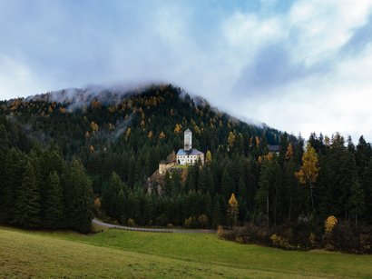 L‘Epifania Castello su collina boschiva con nebbia e prato verde in primo piano