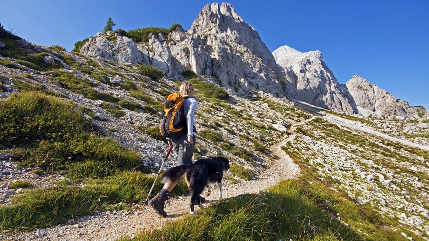 Geheimtipp Hotels in Südtirol 😎☀️ Wanderer mit Hund auf Bergpfad unter blauem Himmel