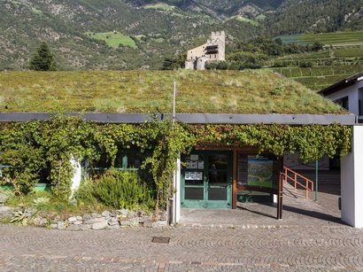 L‘Epifania Edificio con tetto verde e centro parco naturale, montagne boschive sullo sfondo